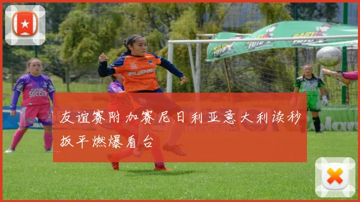 友谊赛附加赛尼日利亚意大利读秒扳平燃爆看台
