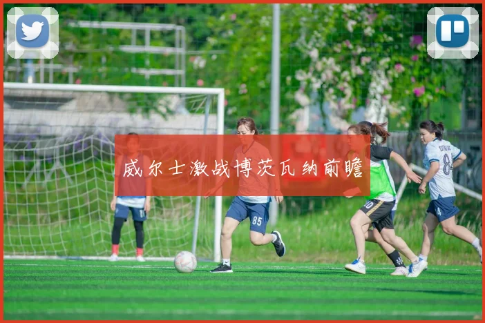 威尔士激战博茨瓦纳前瞻