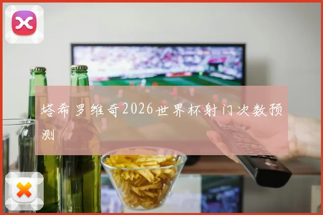 塔希罗维奇2026世界杯射门次数预测
