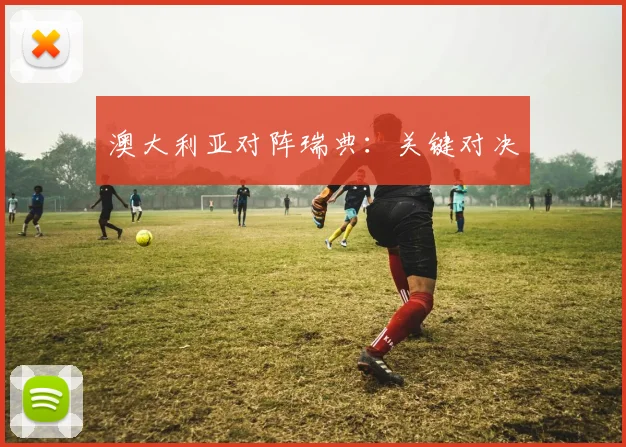 澳大利亚对阵瑞典：关键对决