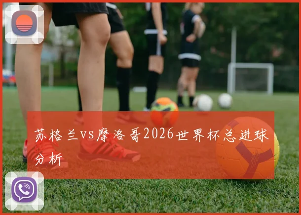 苏格兰vs摩洛哥2026世界杯总进球分析