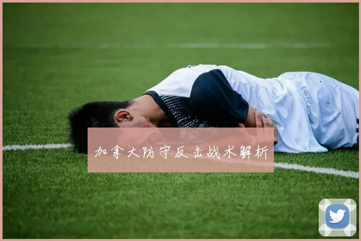 加拿大防守反击战术解析
