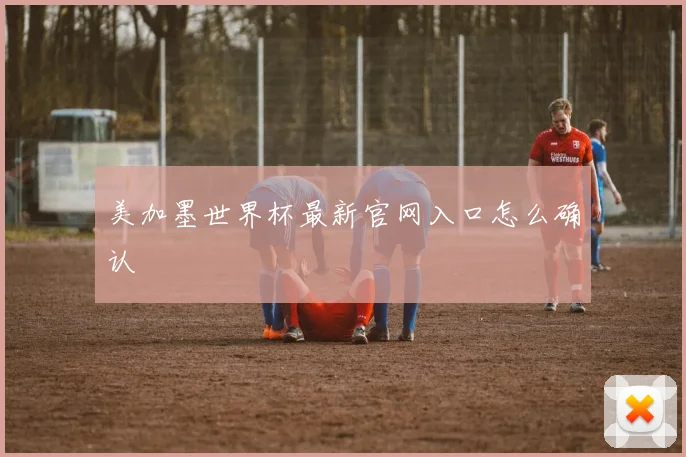 美加墨世界杯最新官网入口怎么确认