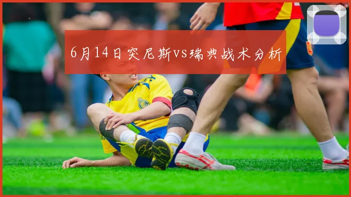6月14日突尼斯vs瑞典战术分析