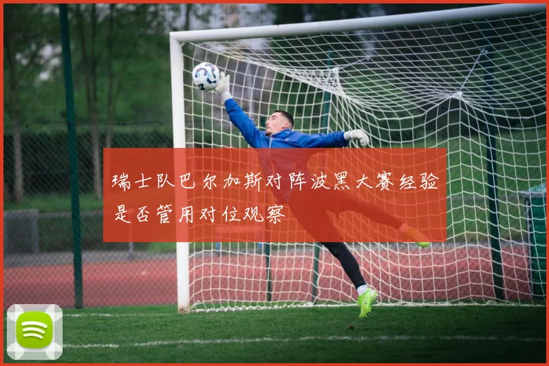 瑞士队巴尔加斯对阵波黑大赛经验是否管用对位观察