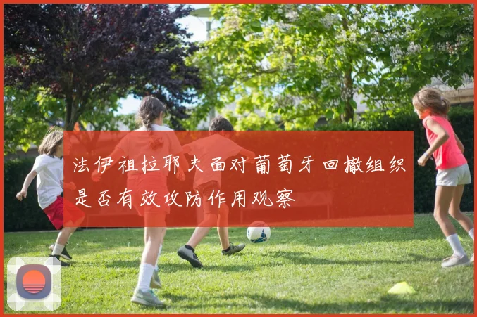 法伊祖拉耶夫面对葡萄牙回撤组织是否有效攻防作用观察
